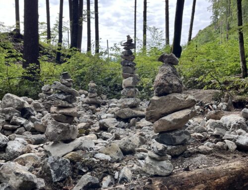 Projektwoche der Klassen 5/6